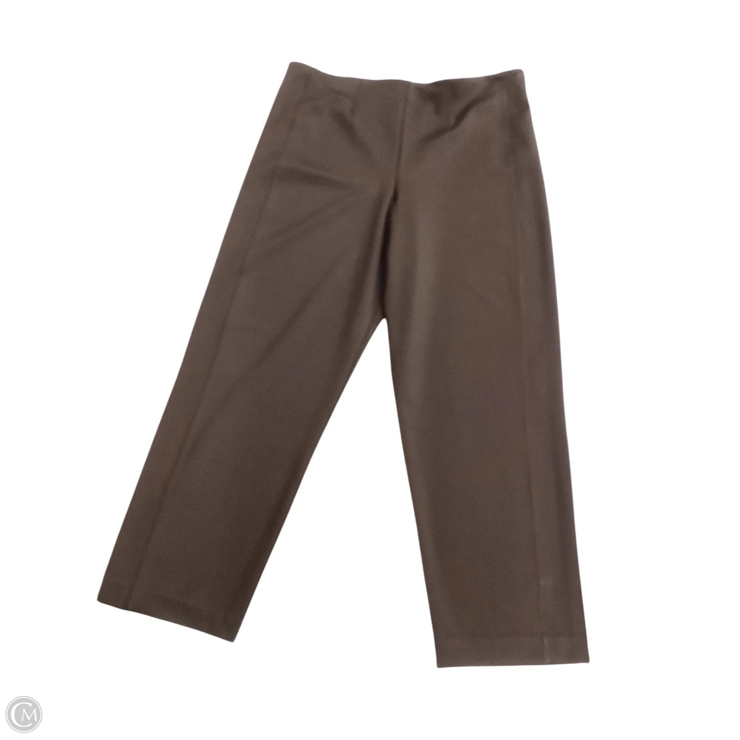 Pants Other By Express In Brown, Size: Xl