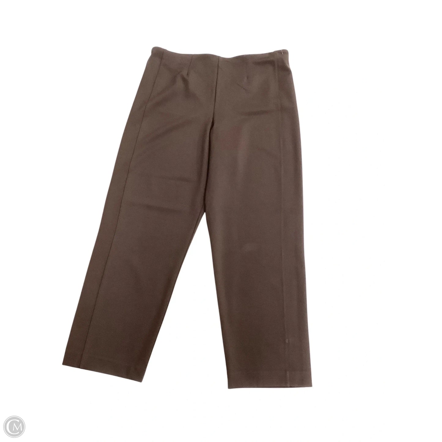 Pants Other By Express In Brown, Size: Xl