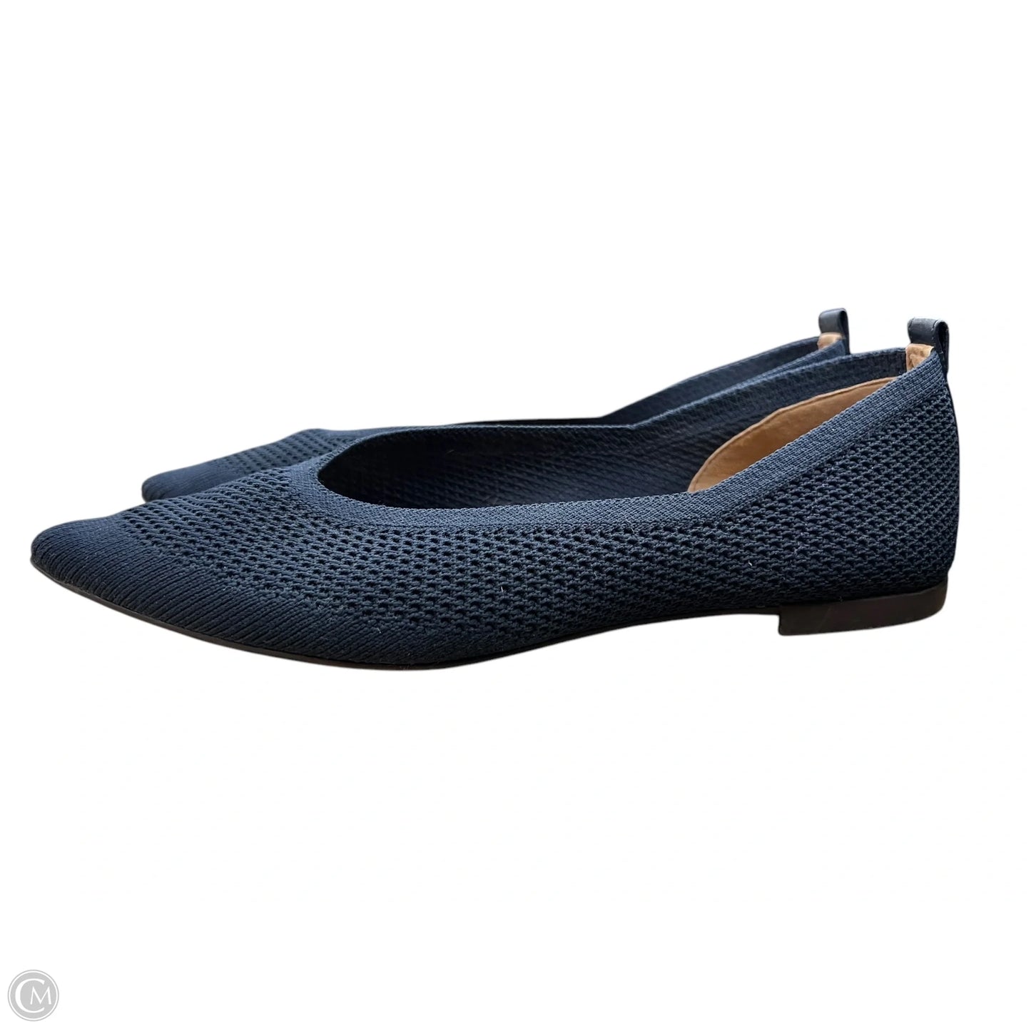 Shoes Flats By Everlane In Navy, Size: 8