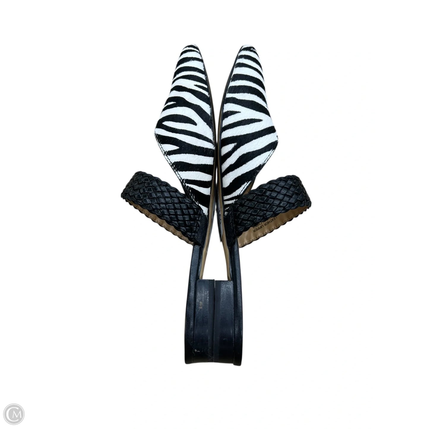 Shoes Flats By Talbots In Zebra Print, Size: 7.5