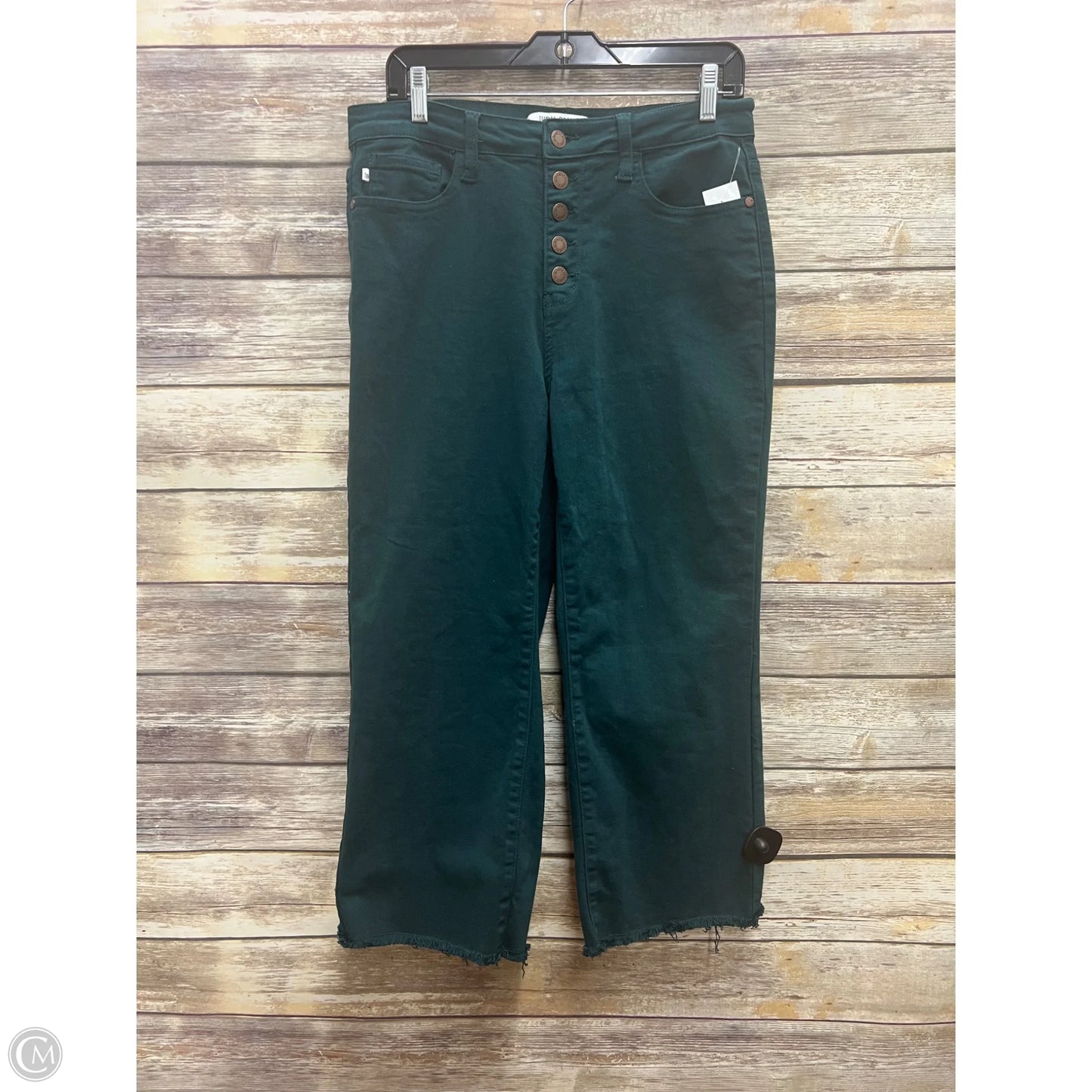 Jeans Wide Leg By Judy Blue In Green, Size: 10