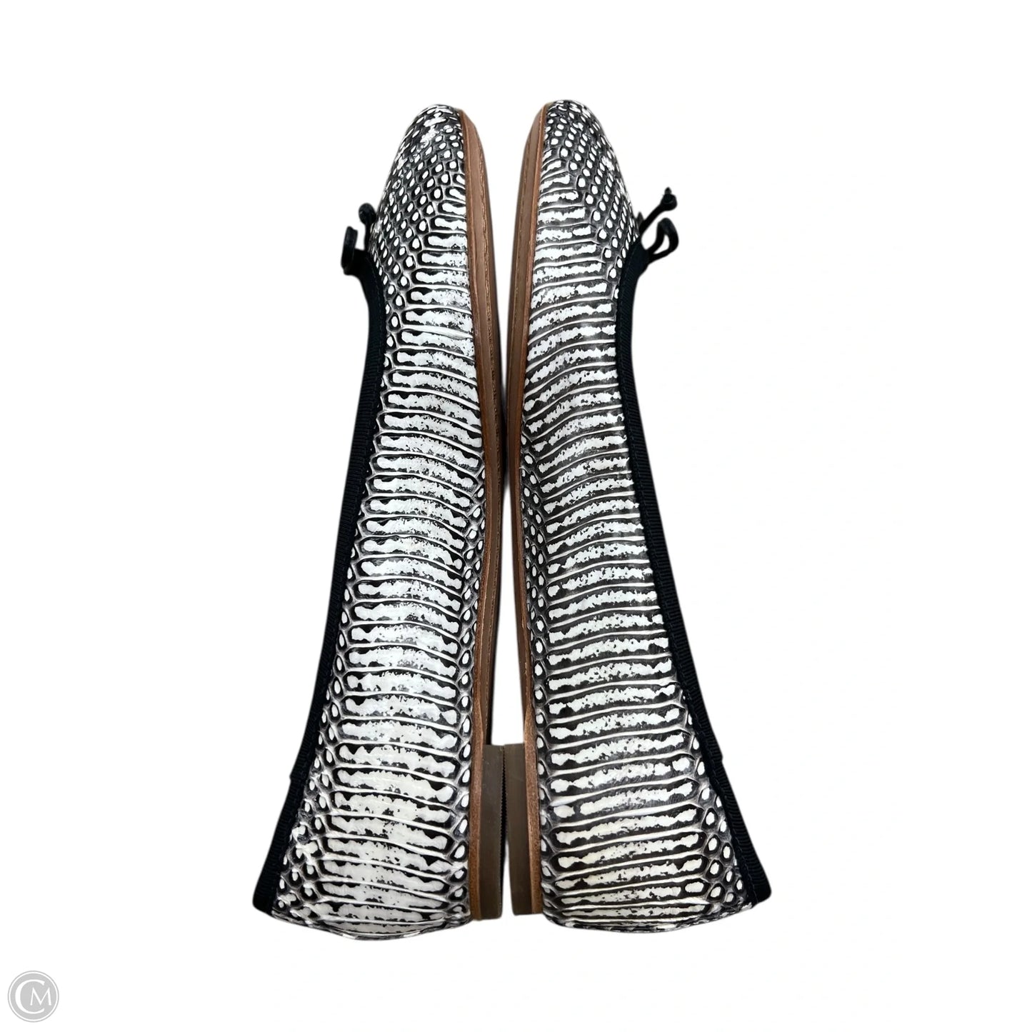 Shoes Designer By Coach In Black & Cream, Size: 5