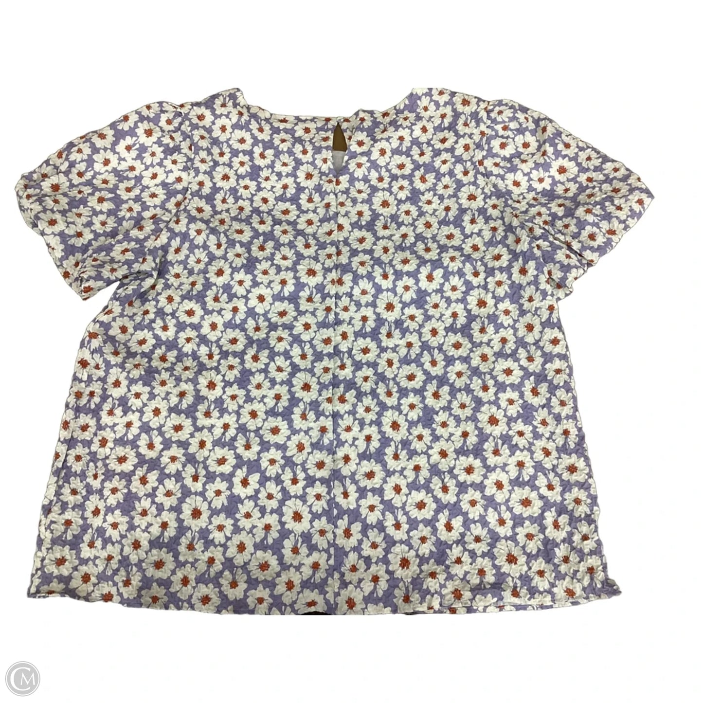 Top Long Sleeve By Hayden La In Multi-colored, Size: 1x