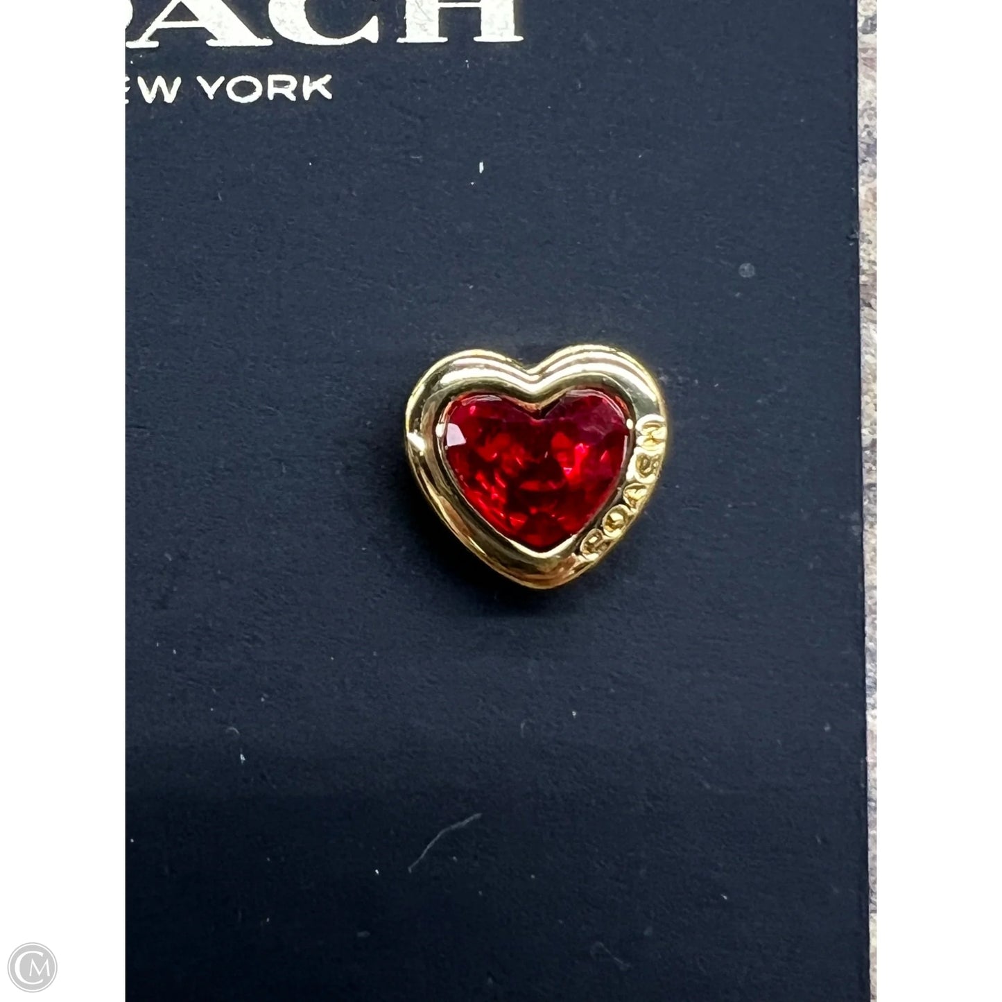 Earrings Designer By Coach