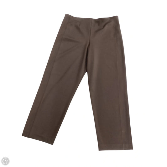 Pants Other By Express In Brown, Size: Xl