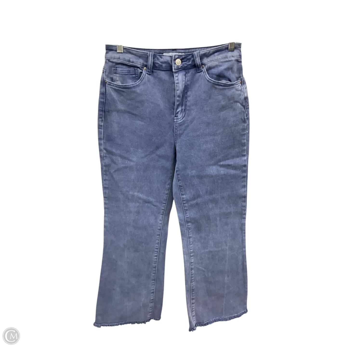 Jeans Straight By Zenana Outfitters In Blue Denim, Size: S