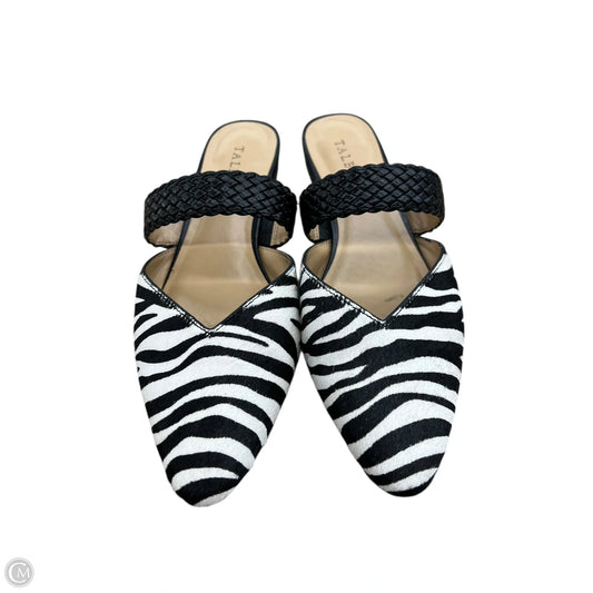 Shoes Flats By Talbots In Zebra Print, Size: 7.5