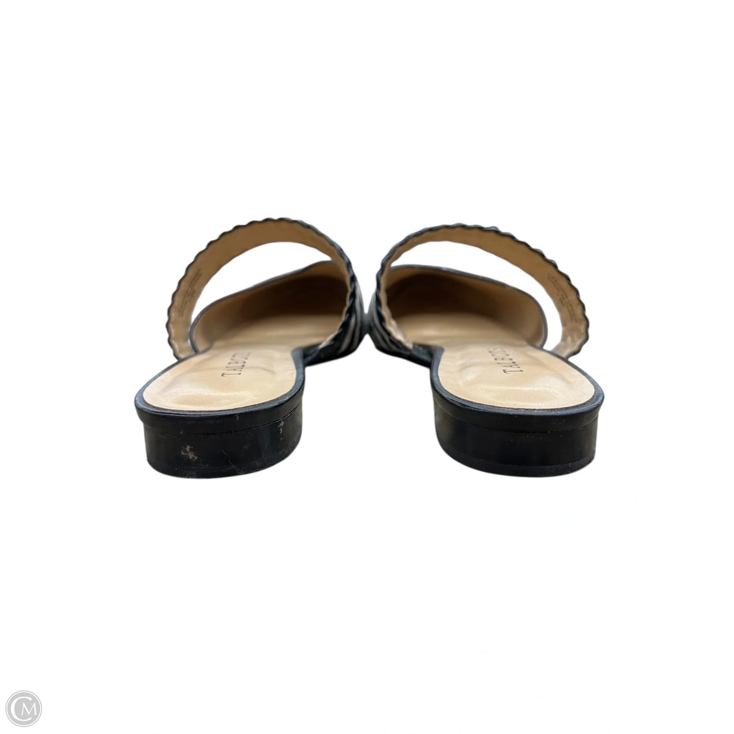 Shoes Flats By Talbots In Zebra Print, Size: 7.5