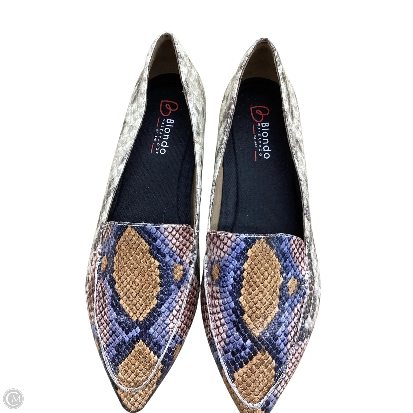 Shoes Flats By Blondo In Snakeskin Print, Size: 7