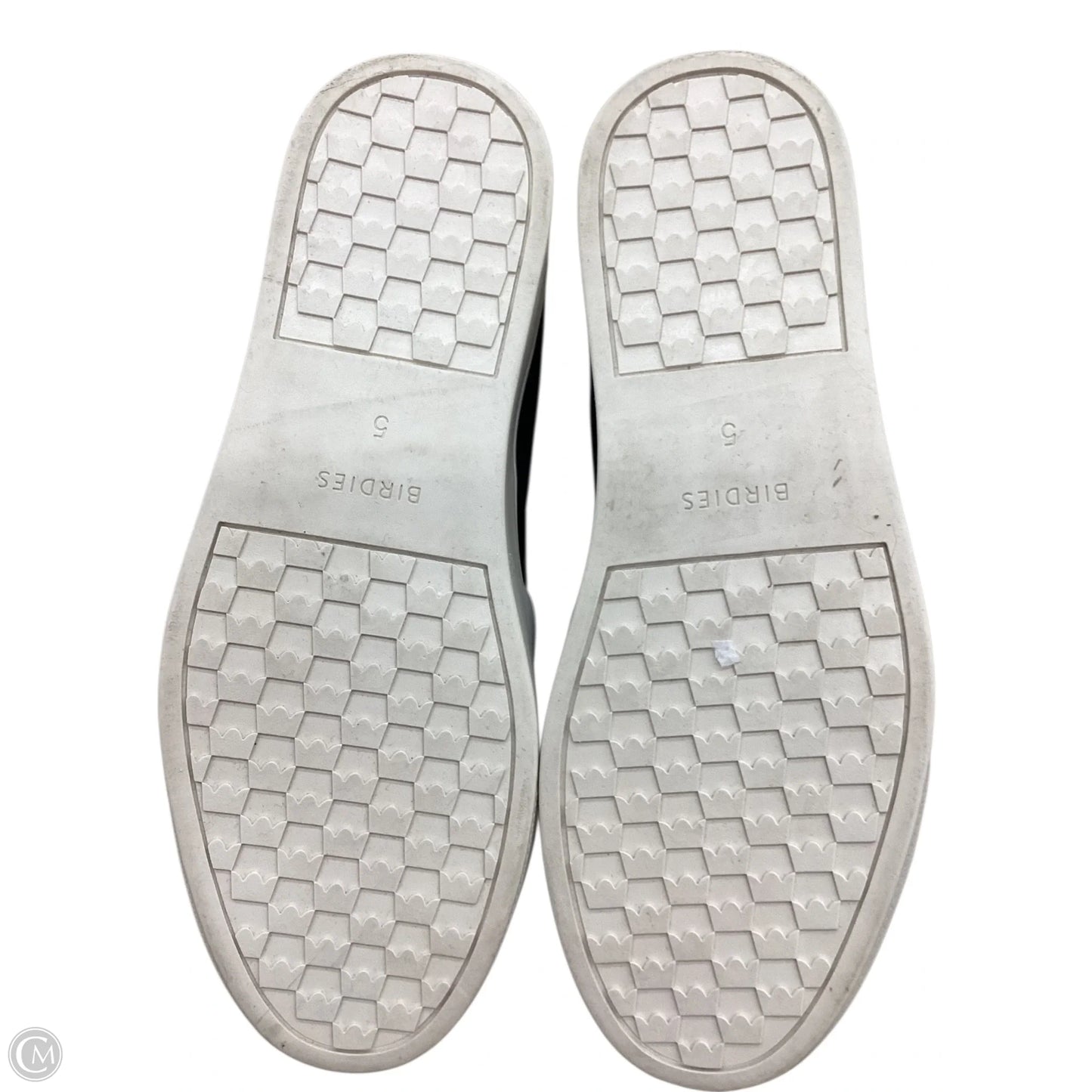 Shoes Sneakers By Birdies In Black, Size: 5