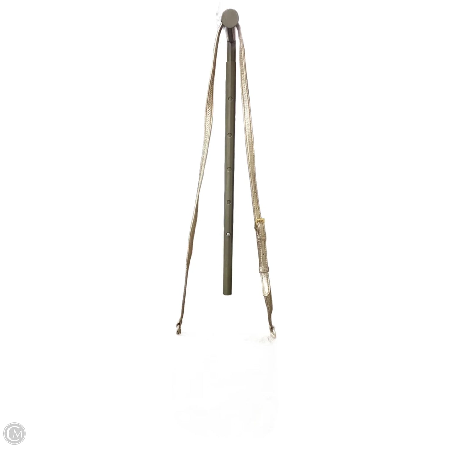 Crossbody Designer By Michael Kors, Size: Small