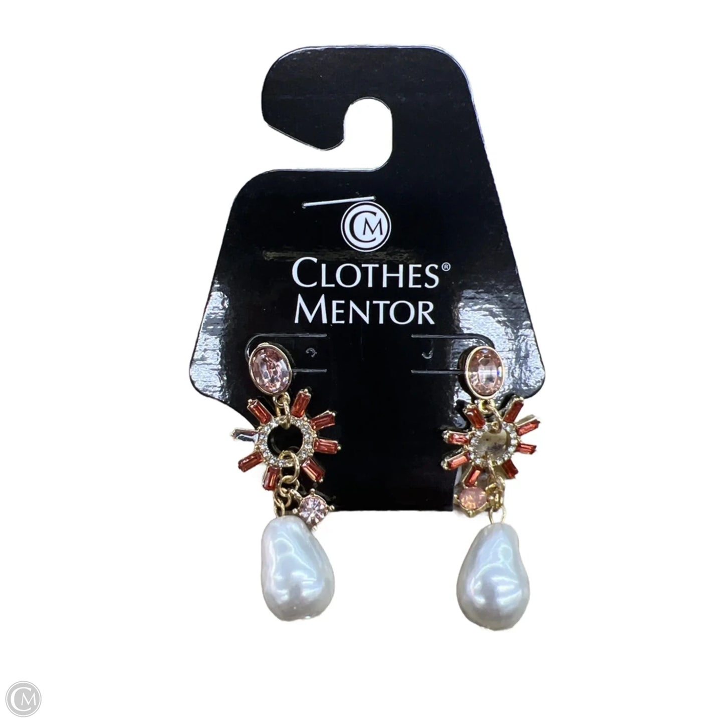Earrings Dangle/drop By Clothes Mentor