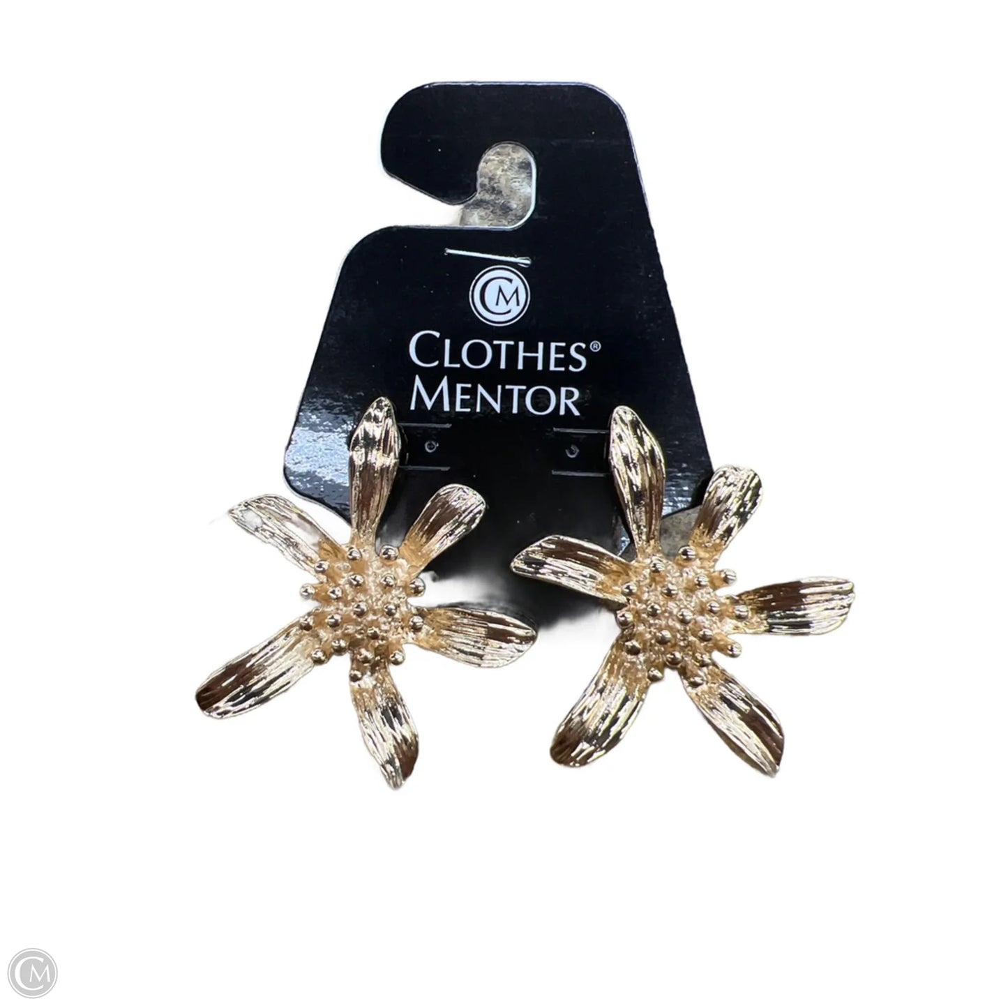 Earrings Statement By Clothes Mentor
