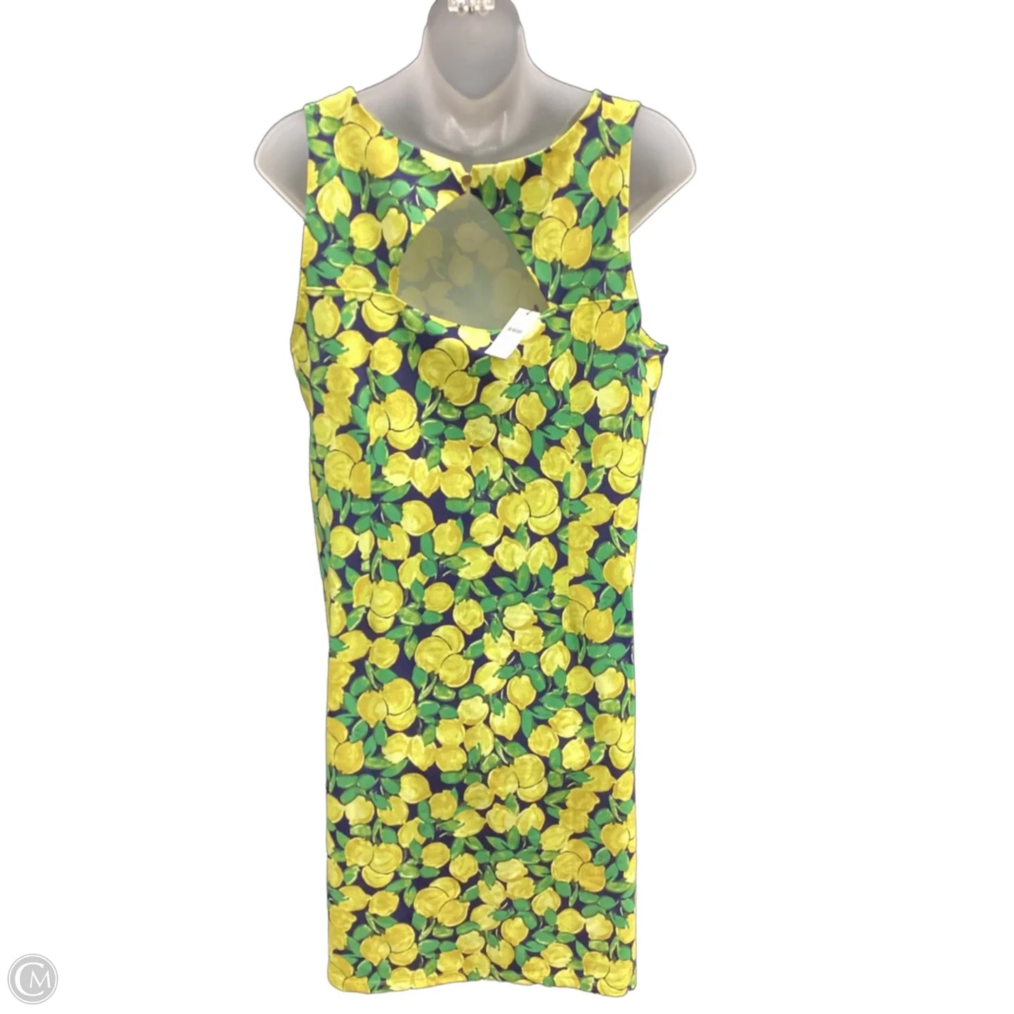 Dress Casual Short By Talbots In Blue & Yellow, Size: L