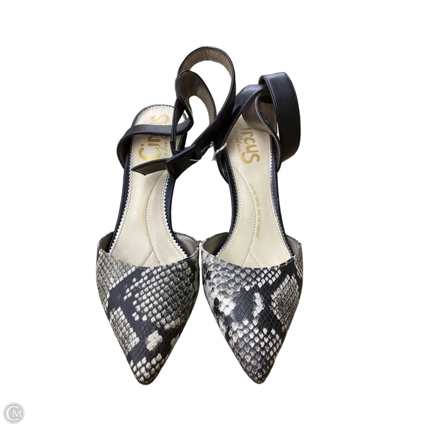 Shoes Heels Stiletto By Circus By Sam Edelman In Snakeskin Print, Size: 10