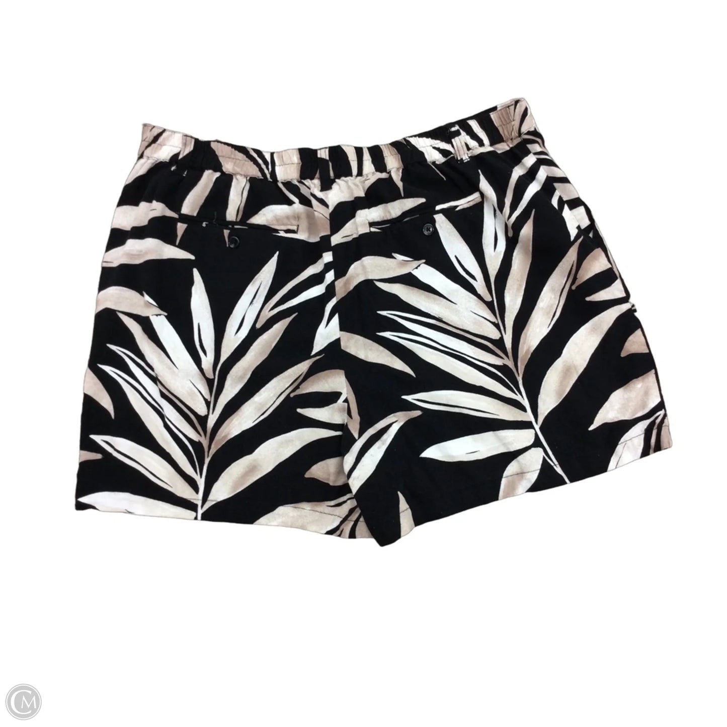 Shorts By Time And Tru In Black & Brown, Size: Xl