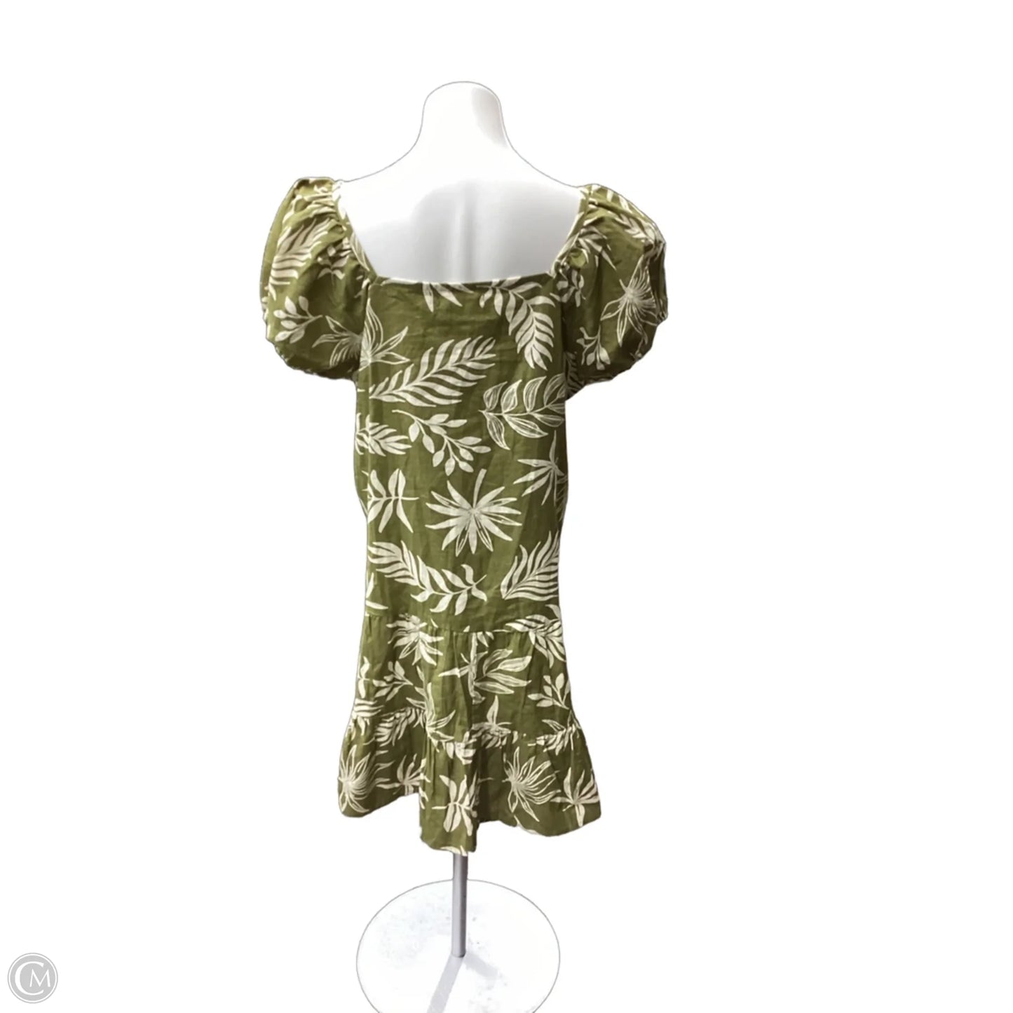Dress Casual Short By Clothes Mentor In Cream & Green, Size: Xl