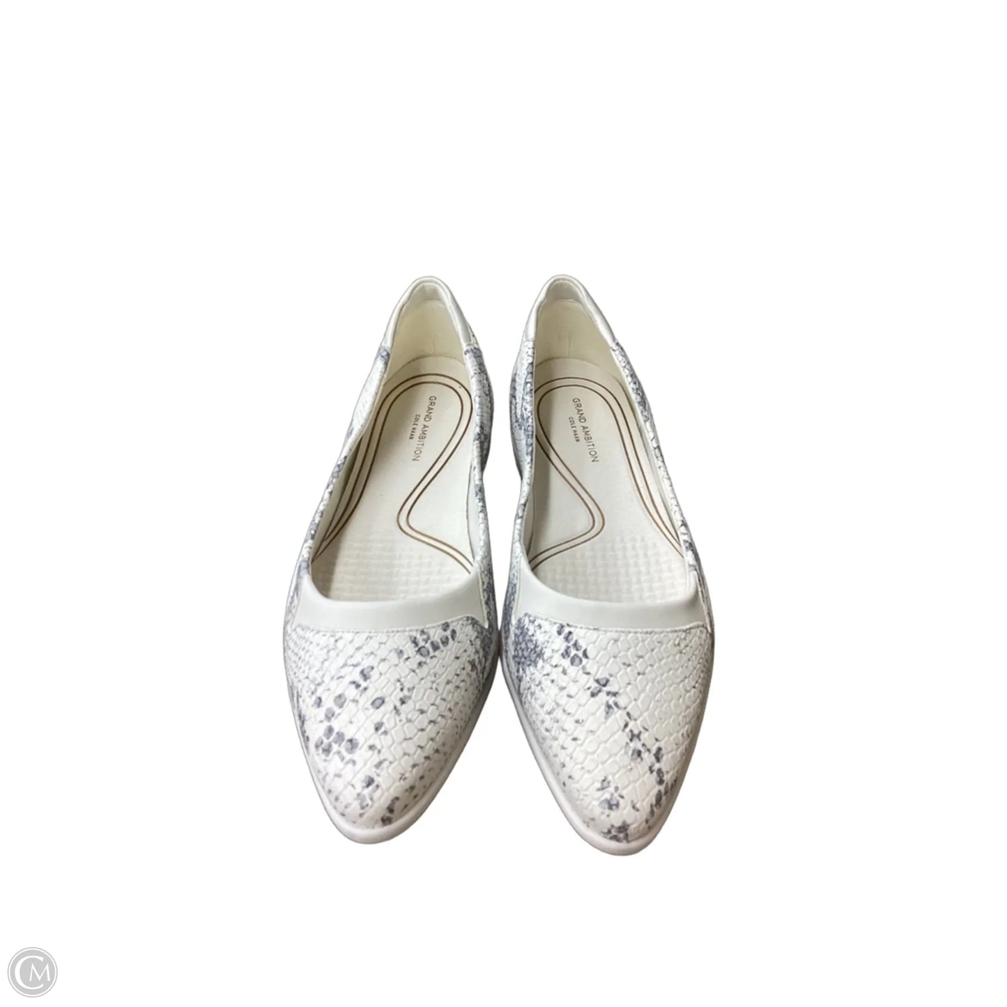 Shoes Flats By Cole-haan In Snakeskin Print, Size: 8