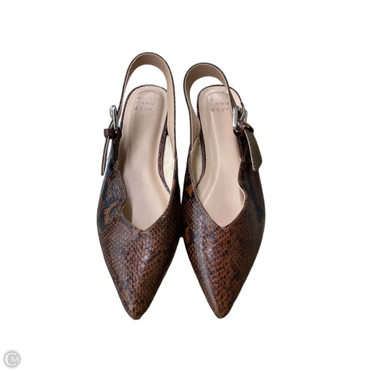 Shoes Flats By A New Day In Black & Brown, Size: 7